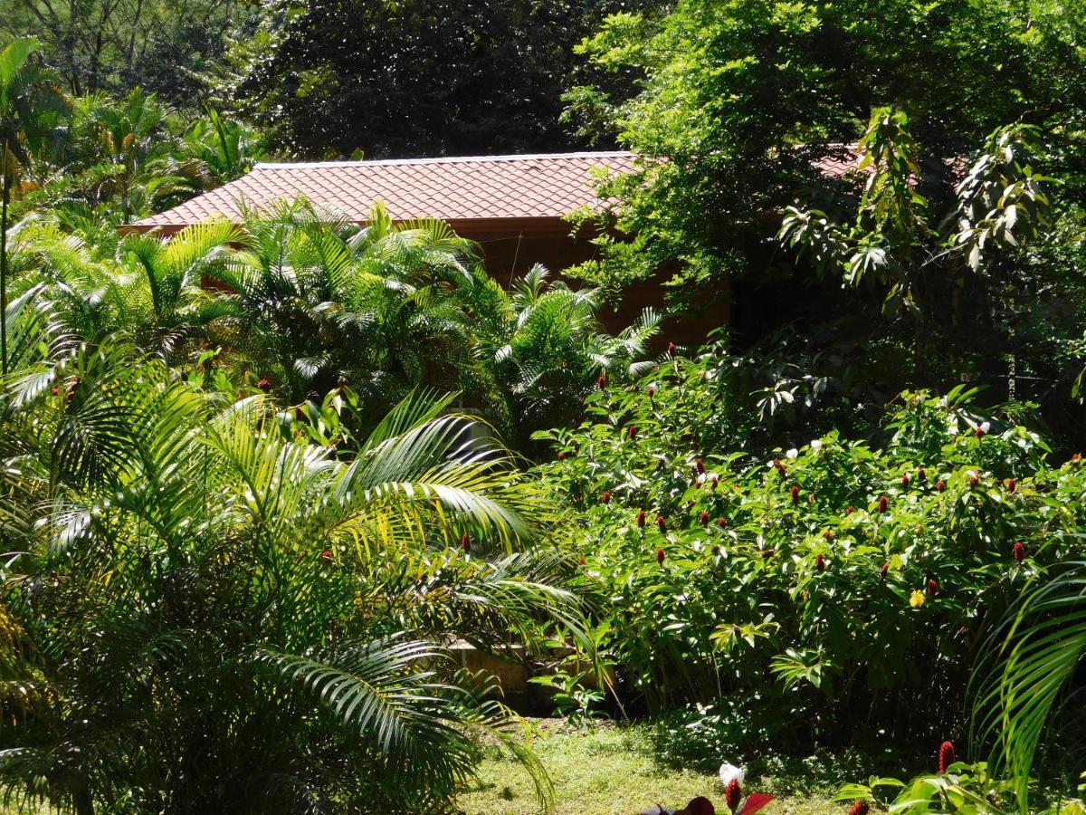 Villasjungle 2 Самара Екстер'єр фото