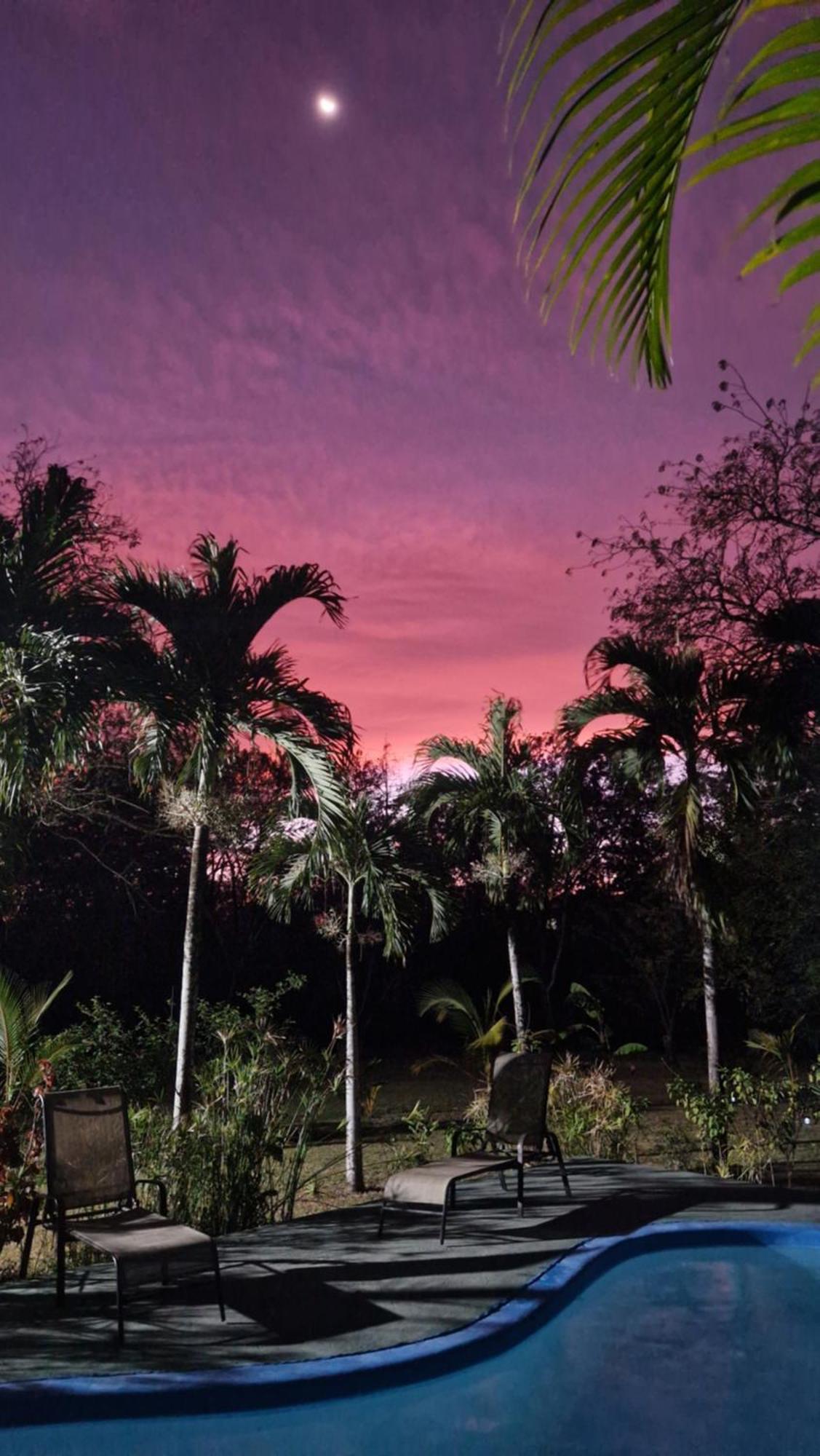 Villasjungle 2 Самара Екстер'єр фото