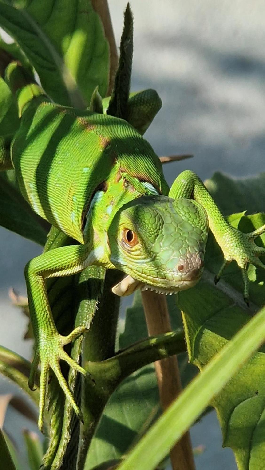 Villasjungle 2 Самара Екстер'єр фото